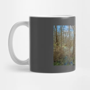 Swamp in Southeastern Georgia Mug